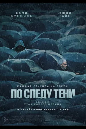 По следу тени